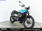 Triumph Scrambler 900 for sale