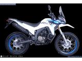 Voge Rally 300 2024 motorcycle #3