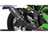 Kawasaki Ninja 125 2024 motorcycle #4