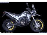 Voge Rally 300 2024 motorcycle #3